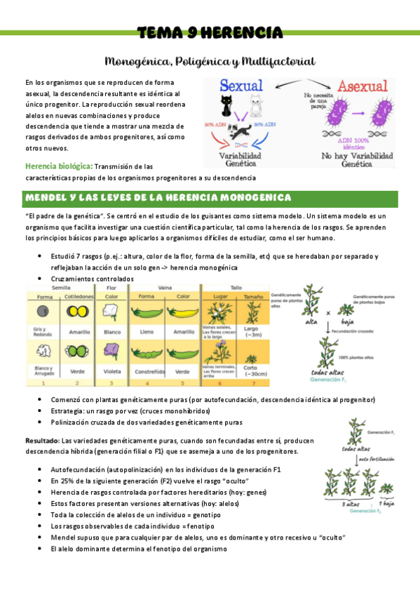 Miniatura del documento Biologia-T9-herencia-monogenica-poligenica-y-multifactorial.pdf