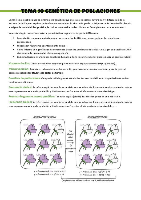 Miniatura del documento Biologia-T10-genetica-de-poblaciones.pdf