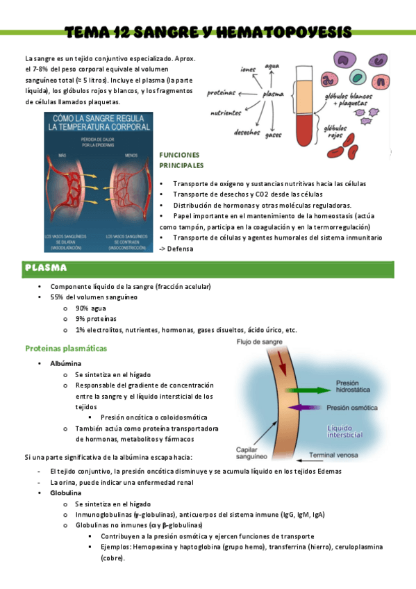 Miniatura del documento Biologia-T12-Sangre-y-Hematopoyesis.pdf