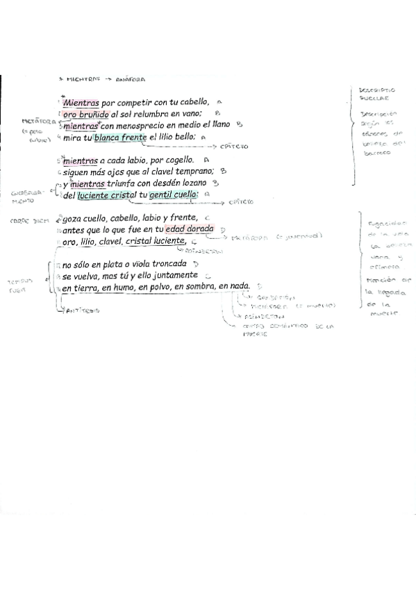 Miniatura del documento Comentario-de-texto-Gongora-Mientras-por-competir-por-tu-cabello.pdf