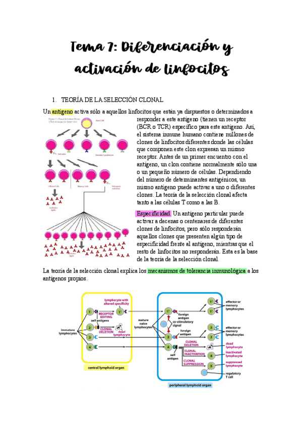 Miniatura del documento Tema-7.pdf