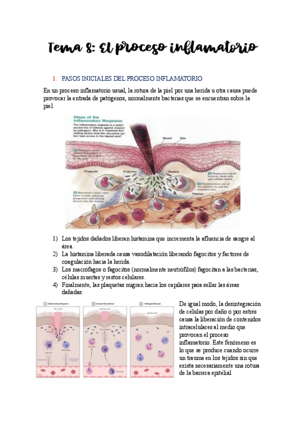 Miniatura del documento Tema-8.pdf