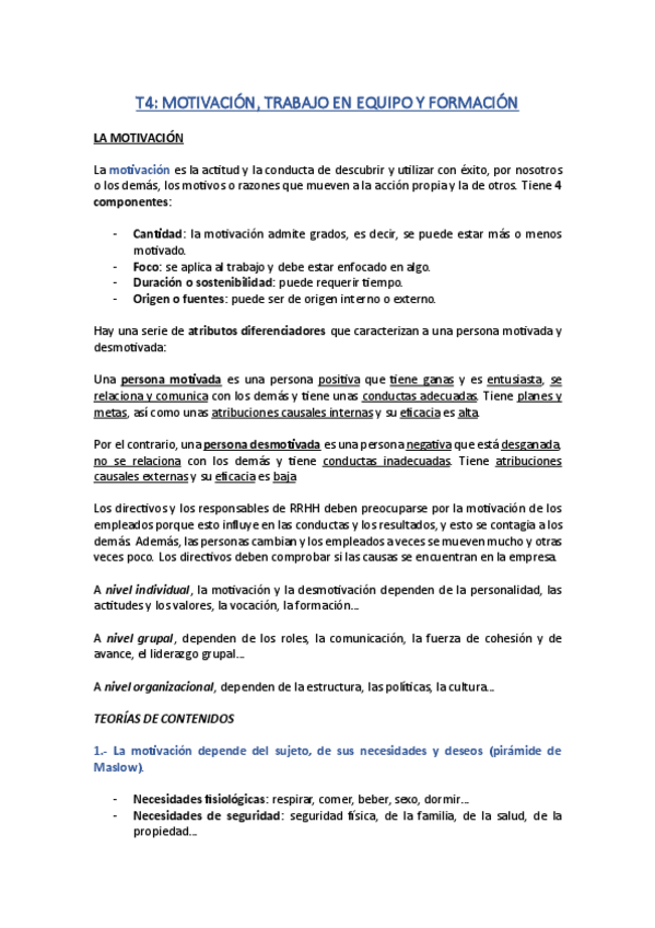 Miniatura del documento T4-Motivacion-trabajo-en-equipo-y-formacion.pdf