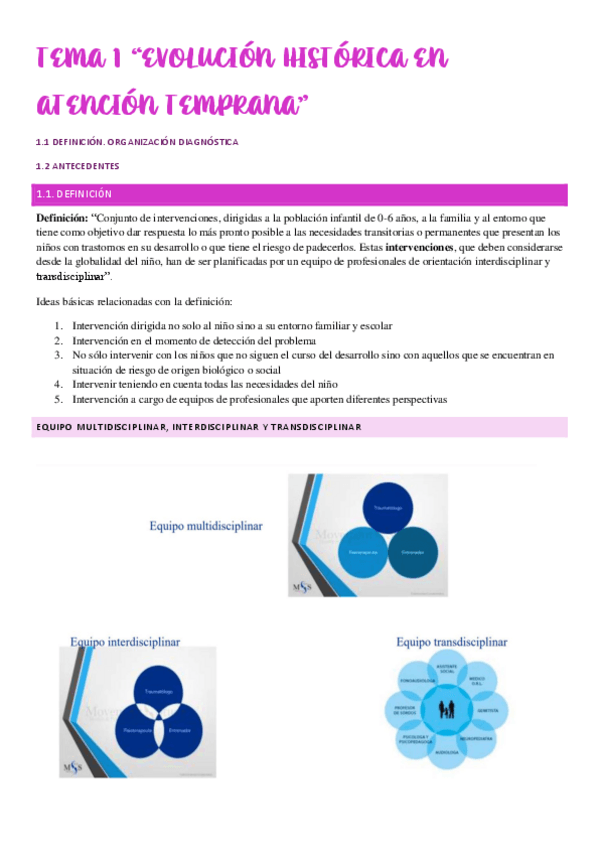 Miniatura del documento TEMA-1.pdf