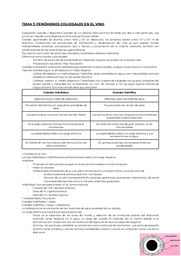 Miniatura del documento COMPO-7.pdf