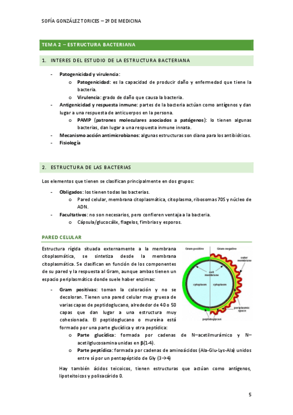 Miniatura del documento T2micro.pdf
