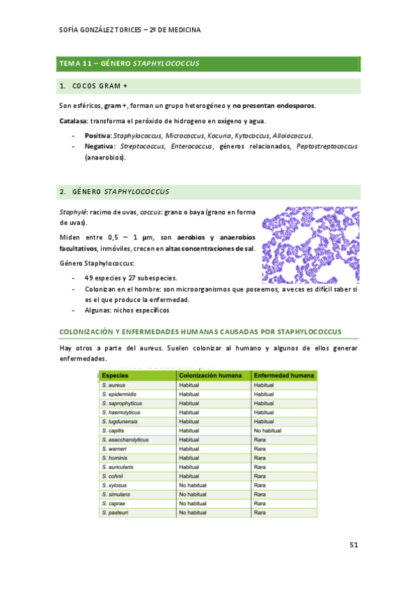 Miniatura del documento T11micro.pdf