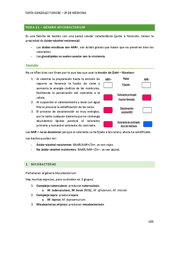 Miniatura del documento T21micro.pdf