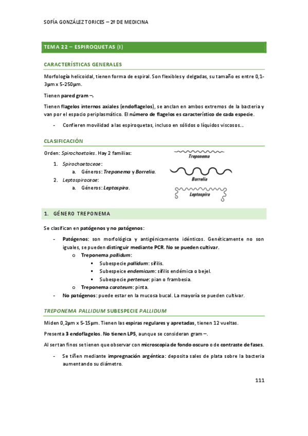 Miniatura del documento T22micro.pdf