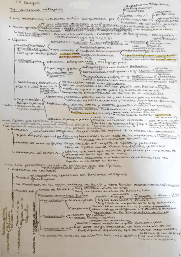 Miniatura del documento Esquemas-Bioquímica Entero-1-Enfermería.pdf