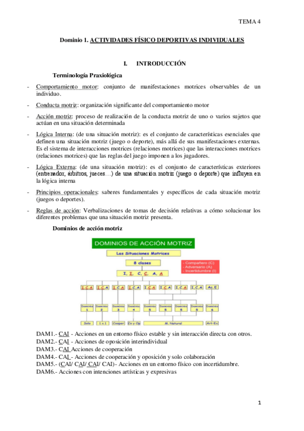 Miniatura del documento TEMA-4.-Dominio-1.pdf