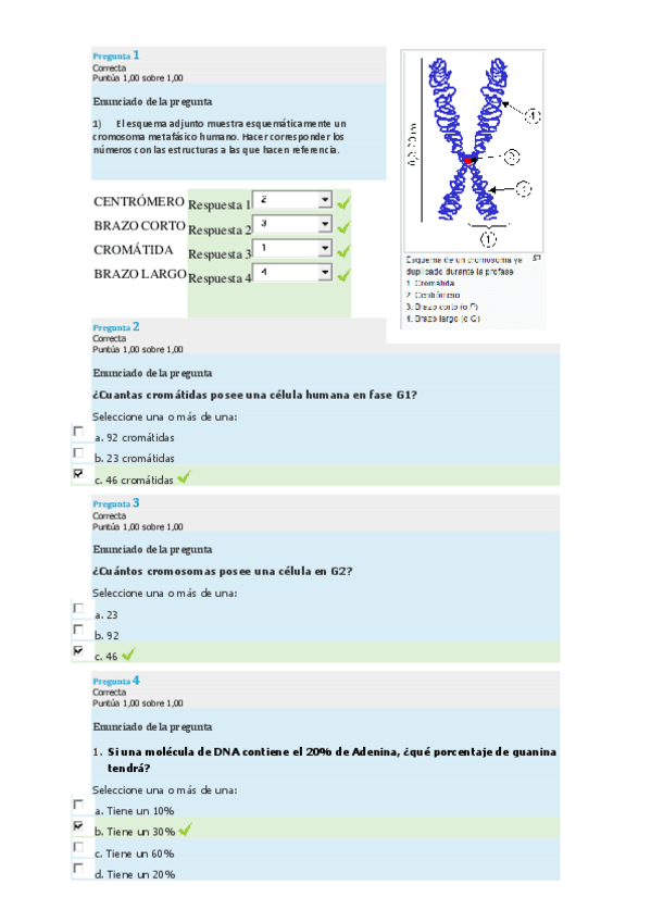 Miniatura del documento GENÉTICA TEST.pdf