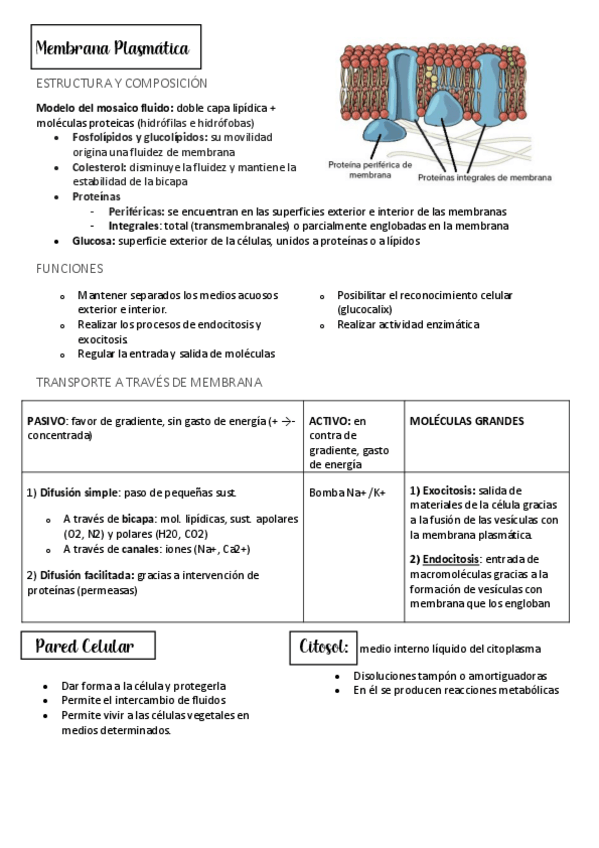 Miniatura del documento Bloque-II-Metabolismo.pdf