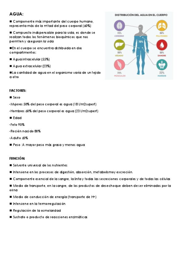 Miniatura del documento AGUA.pdf