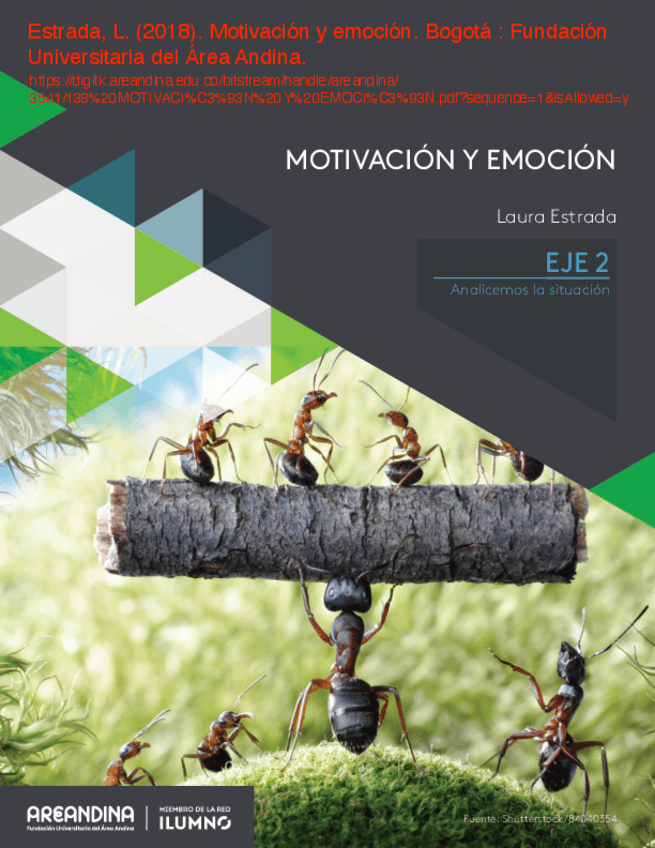 Miniatura del documento 063Estrada-2018-Introduccion-a-la-MOTIVACION.pdf