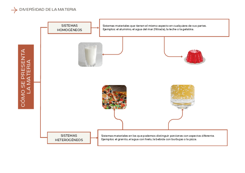 Miniatura del documento Diversidad-de-la-materia.pdf