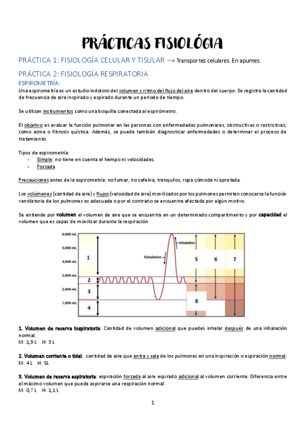 Miniatura del documento Practicas-fisio.pdf