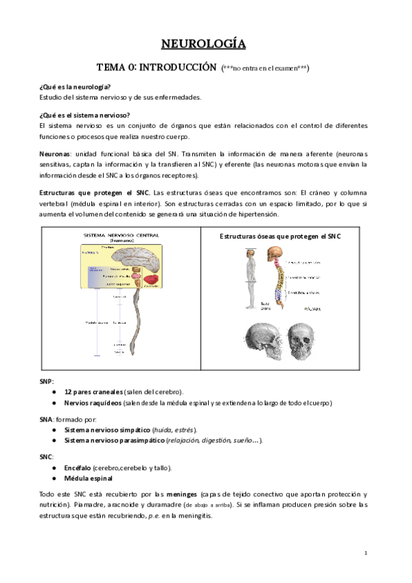 Miniatura del documento Neurologia-terminado.pdf
