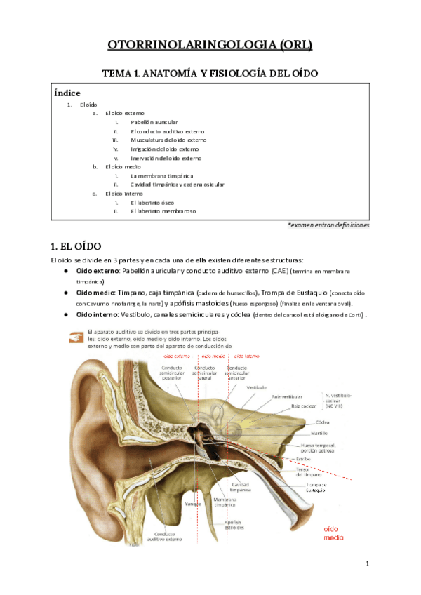 Miniatura del documento Otorrinolaringologia-terminado.pdf