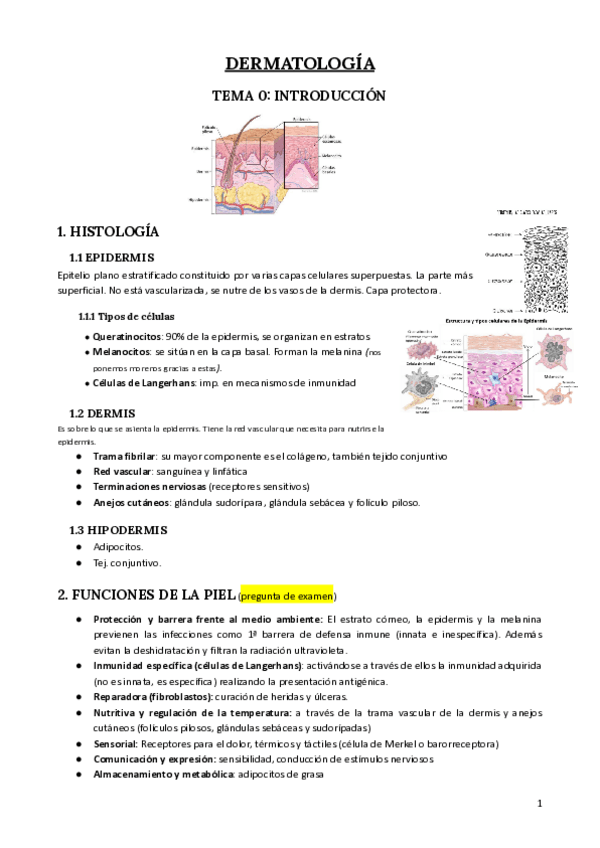 Miniatura del documento Dermatologia-terminado.pdf
