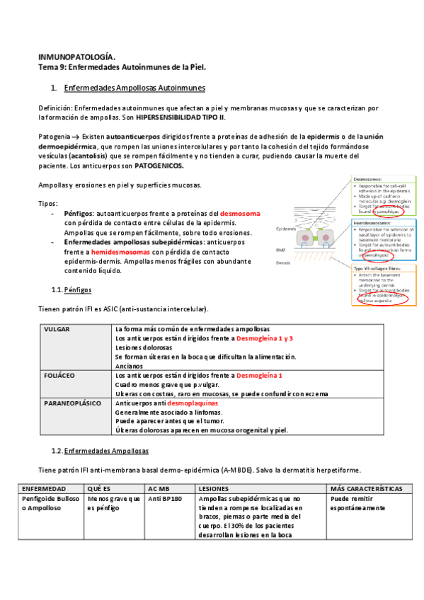 Miniatura del documento Tema-9-EAI-Piel.pdf