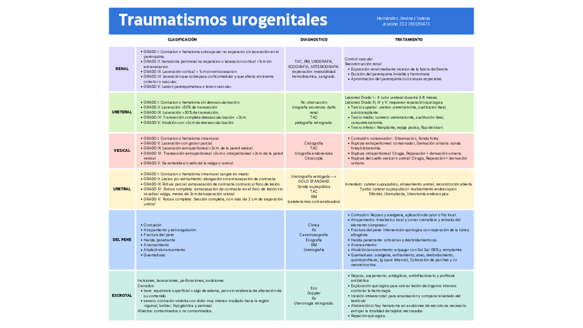 Miniatura del documento Trauma-Urogenital.pdf