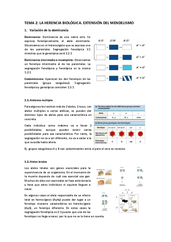 Miniatura del documento TEMA-2.pdf