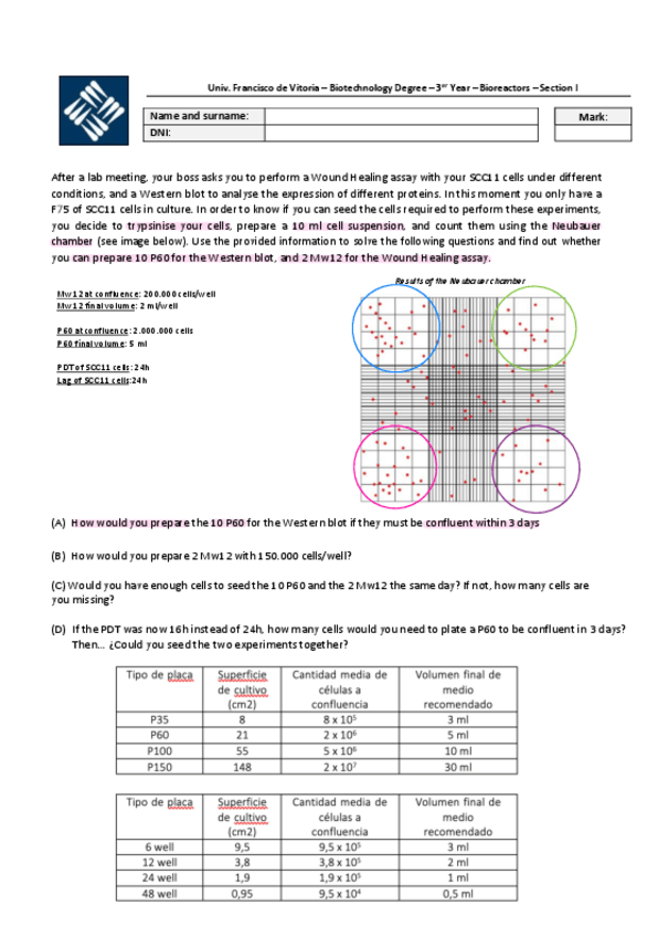 Miniatura del documento Assignment-2021.pdf