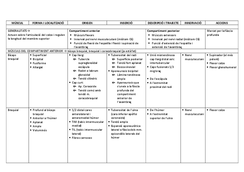 Miniatura del documento TAULA-MUSCULS-BRAC.pdf