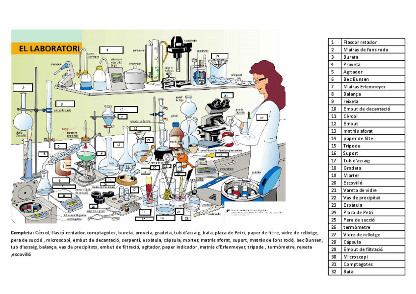 Miniatura del documento Practica-de-laboratori-Normes-i-material.pdf
