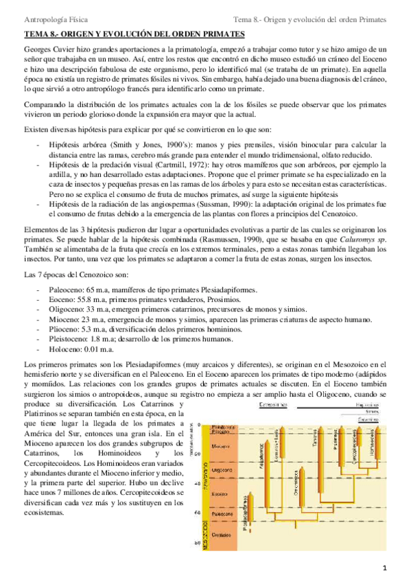 Miniatura del documento Tema 8.- Origen y evolución del orden Primates.pdf