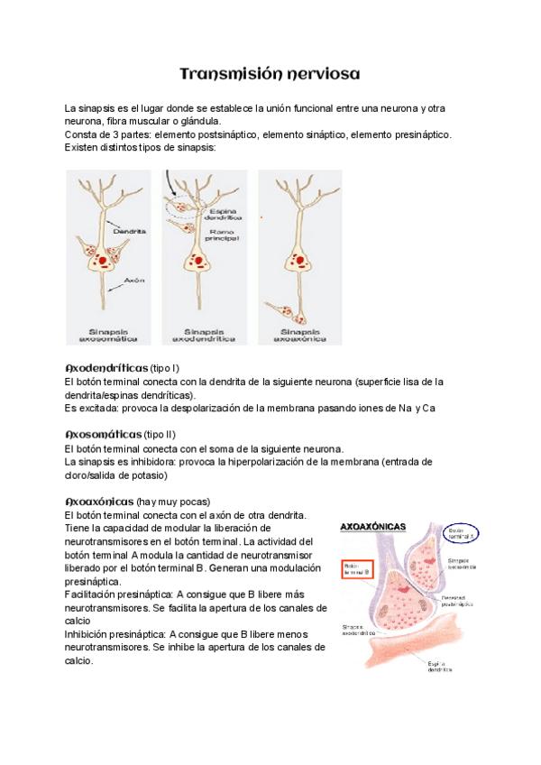 Miniatura del documento Tema-4-Transmision-nerviosa.pdf