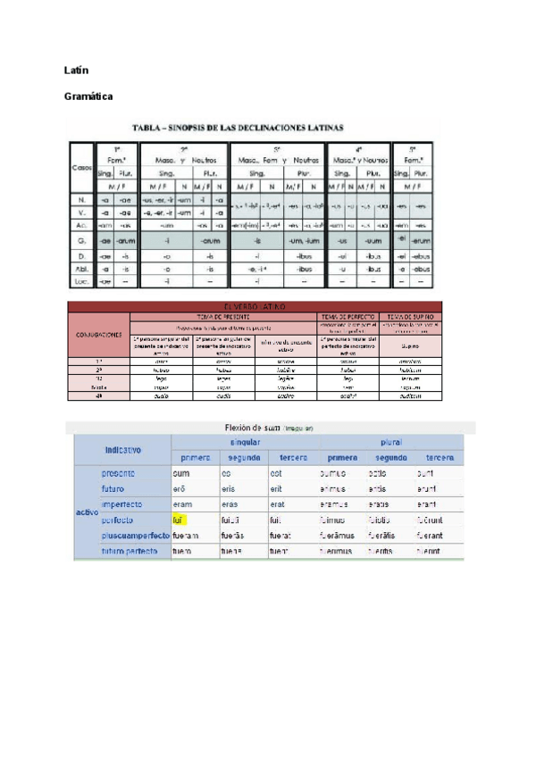 Miniatura del documento Latin-ebau.pdf