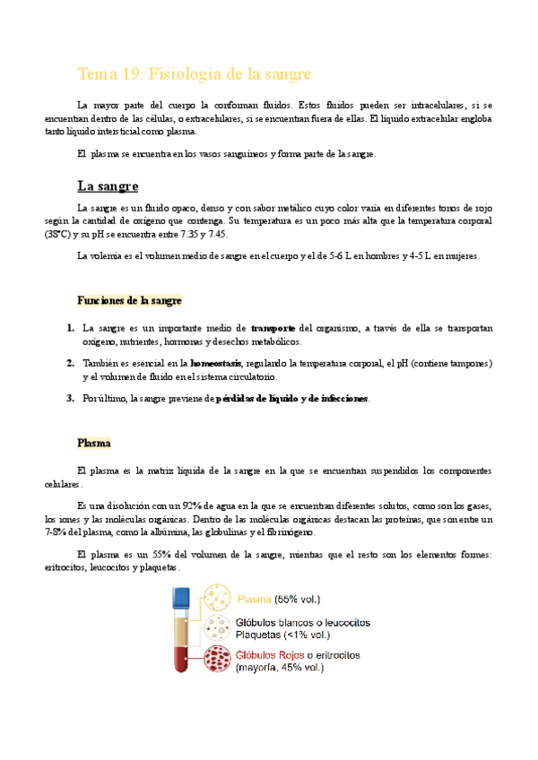 Miniatura del documento Tema-19.-Fisiologia-de-la-Sangre.pdf