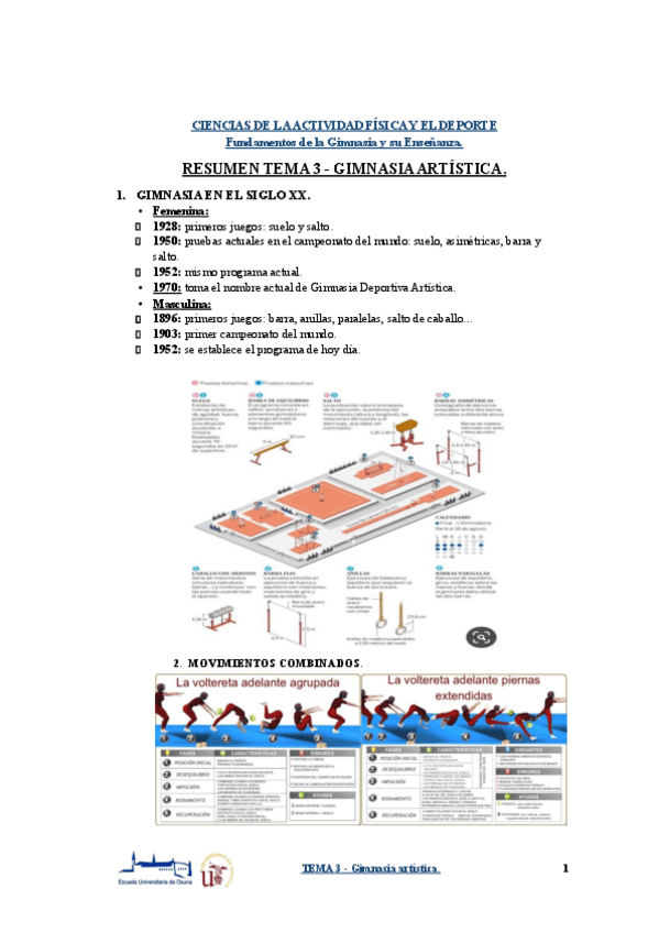 Miniatura del documento RESUMEN-TEMA-3-Gimnasia-artistica.pptx.pdf