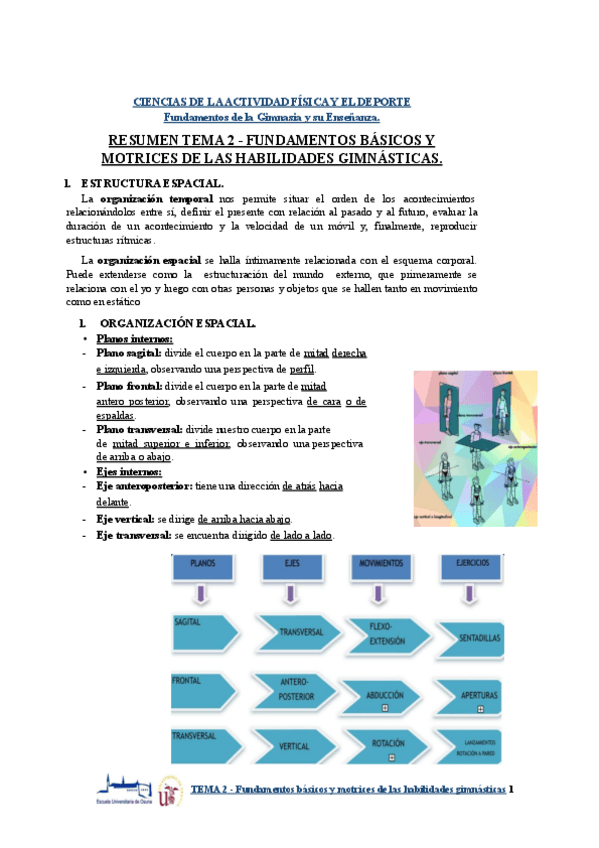 Miniatura del documento RESUMEN-TEMA-2-Fundamentos-basicos-y-motrices-de-las-habilidades-gimnasticas.pptx.pdf