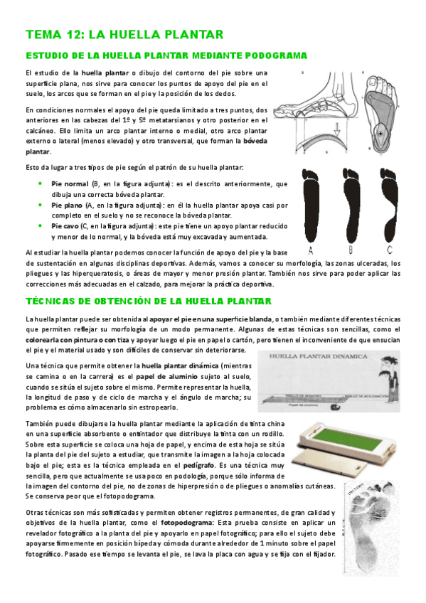 Miniatura del documento TEMA-12.pdf