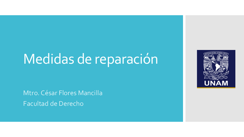 Miniatura del documento 6.-Medidas-de-reparacion.pdf