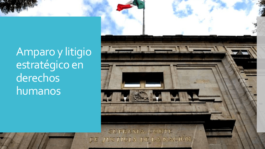 Miniatura del documento 8.d-Litigio-estrategico.pdf