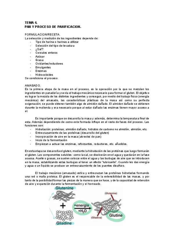 Miniatura del documento TEMA-4.-pan-y-proceso-de-panificacion.pdf