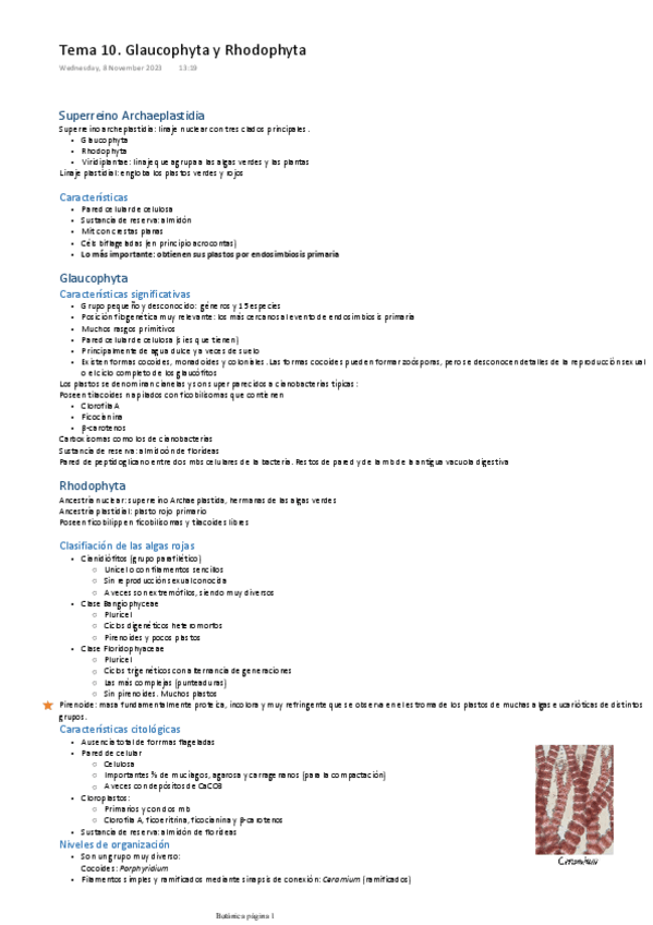 Miniatura del documento TEMA-10.-GLAUCOPHYTA-Y-RODOPHYTA.pdf