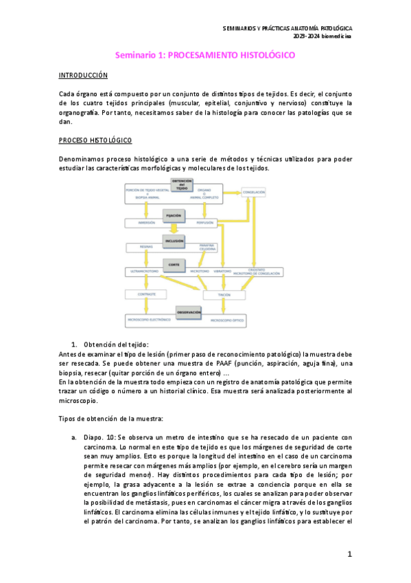 Miniatura del documento SEMINARIO-ANATOMIA-PATOLOGICA.pdf