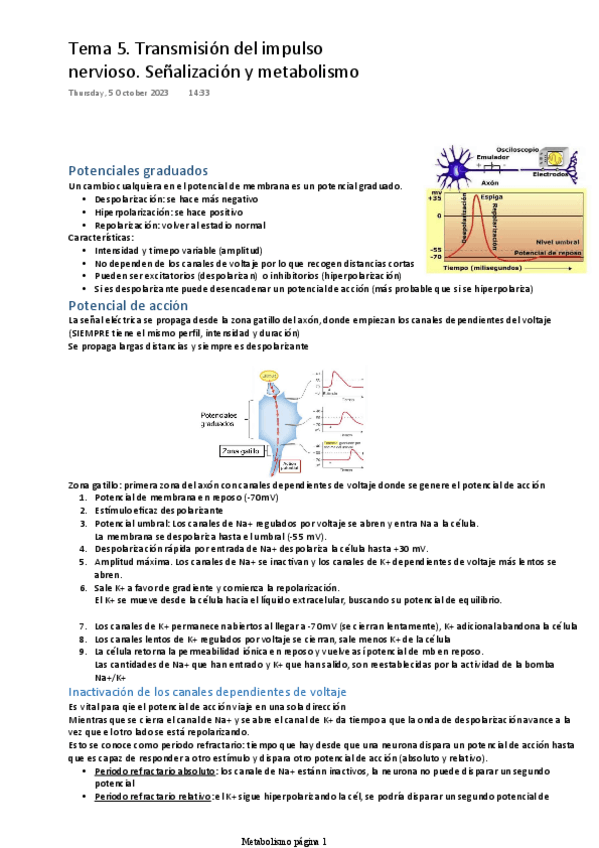 Miniatura del documento TEMA-5.-TRANSMISION-DEL-IMPULSO-NERVIOSO.-SENALIZACION-Y-METABOLISMO.pdf