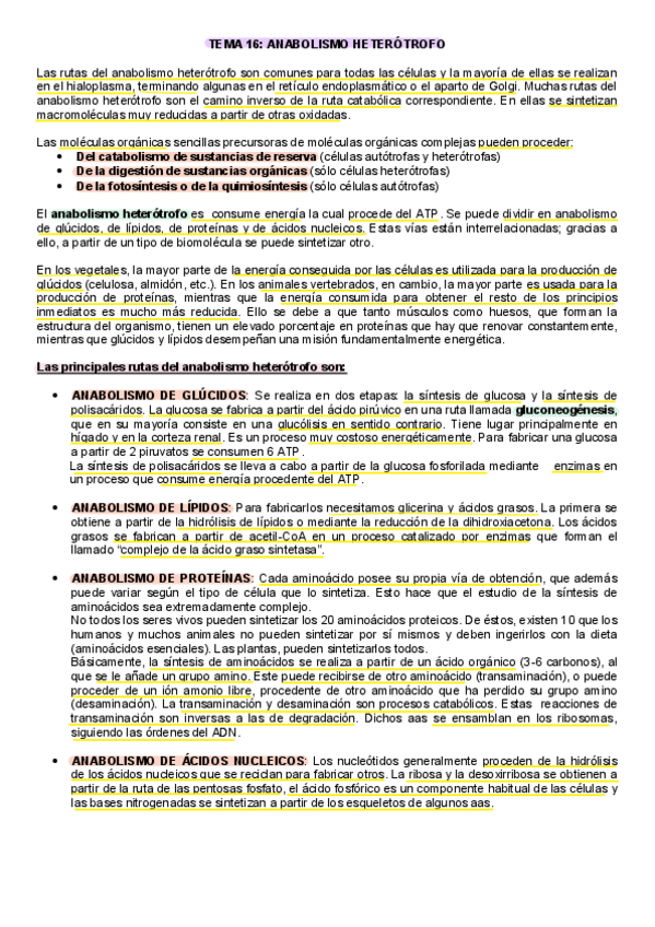 Miniatura del documento Tema 16: Anabolismo heterótrofo.pdf