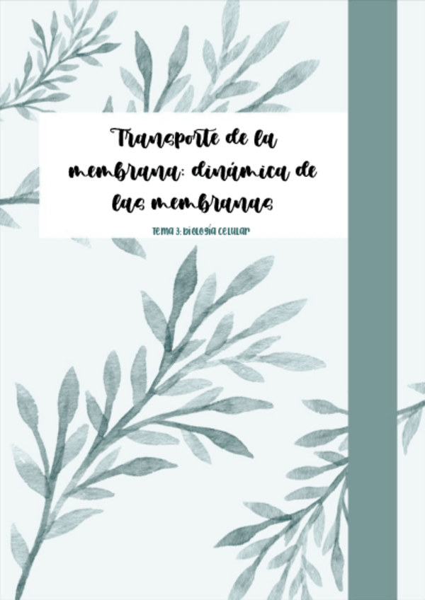Miniatura del documento Tema-3-transporte-de-la-membrana-dinamica-de-las-membranas.pdf