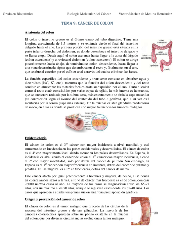 Miniatura del documento Tema 9. Cáncer de colon VSM.pdf