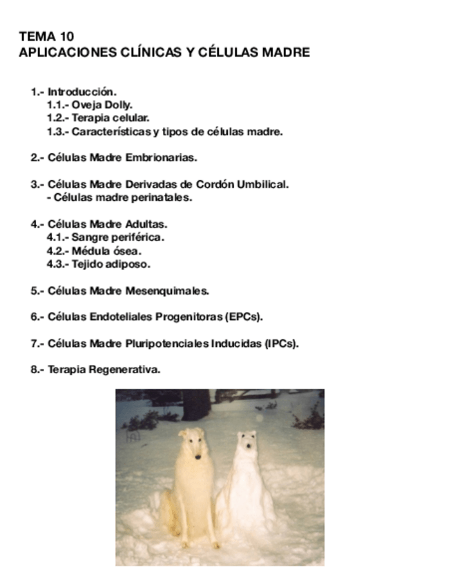 Miniatura del documento Tema-10-CULT.pdf