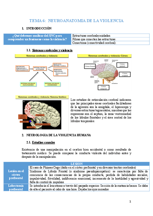 Miniatura del documento tema-6-psicobiologia.pdf