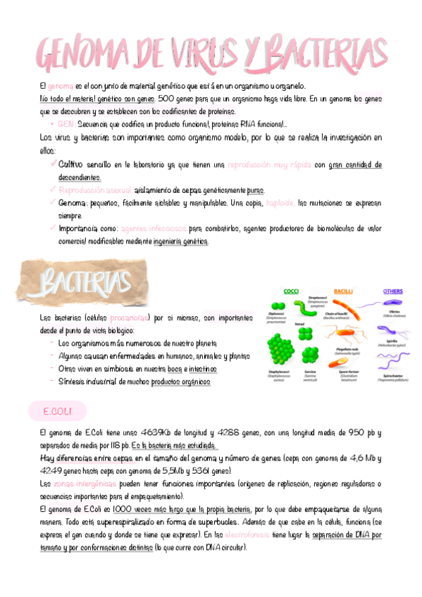 Miniatura del documento 3.-Genoma-de-virus-y-bacterias.pdf