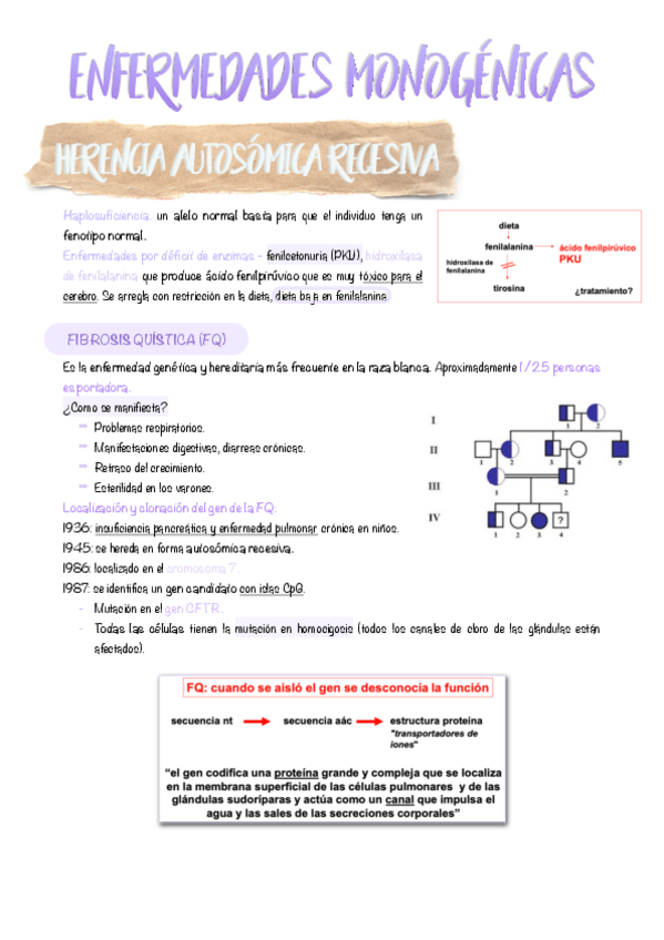 Miniatura del documento 16.-Enfermedades-monogenicas.pdf
